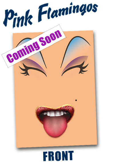 Pink Flamingo's Interactive Card £4.99